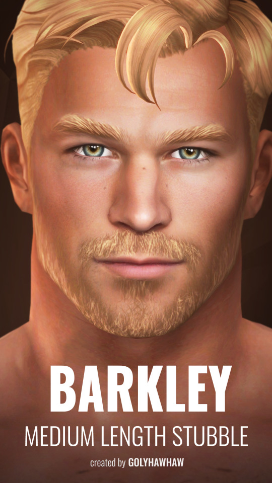 barkley-facial-hair-by-golyhawhaw