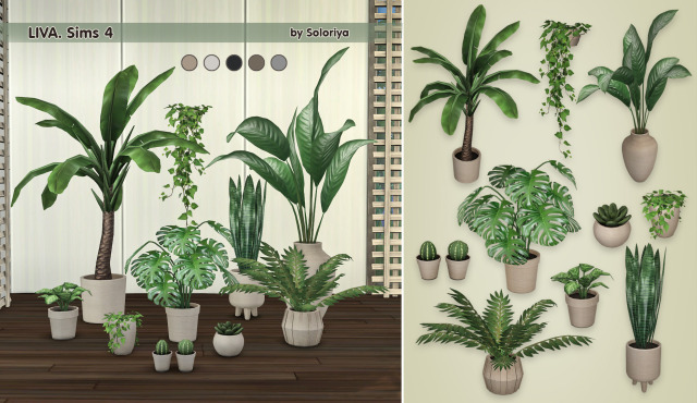 liva-plants-sims-4.-by-soloriya